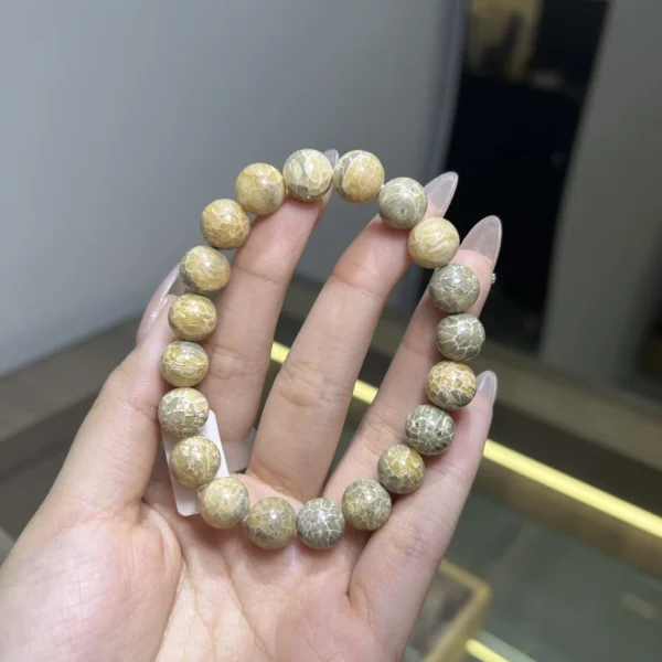 Chuỗi san hô vạn hoa quy nhất 10li