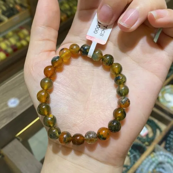 Chuỗi băng ngọc thủy tảo Chuỗi băng ngọc thủy tảo