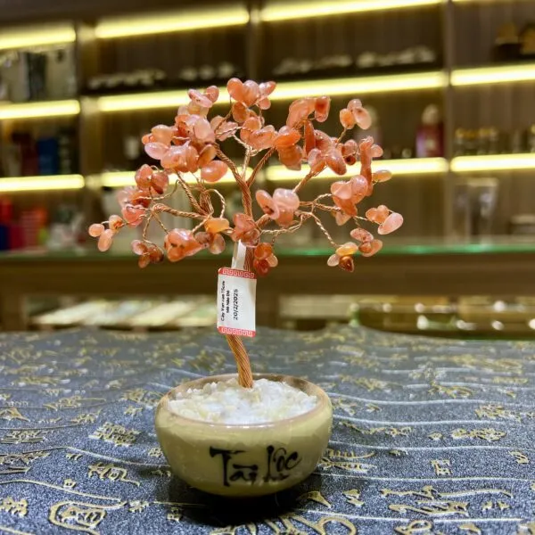 Cây tài lộc Mã não đỏ cao 15cm